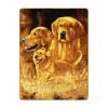 Plush Throw Blanket - Golden Retriever - QUEEN BED 79"x 95" - Faux Fur Blanket For Beds, Sofa, Couch, Picnic, Camping