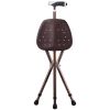 Walking Stick with Seat Copper
