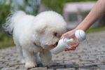 Pet Life Â® 'PYURE' Handheld Travel Filtered Water Feeder
